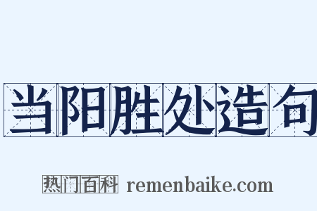 当阳胜处造句是什么意思的图片